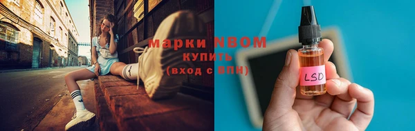 2c-b Бородино