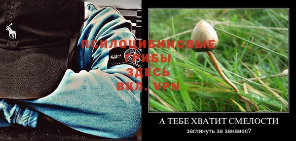 соль курить ск Верея