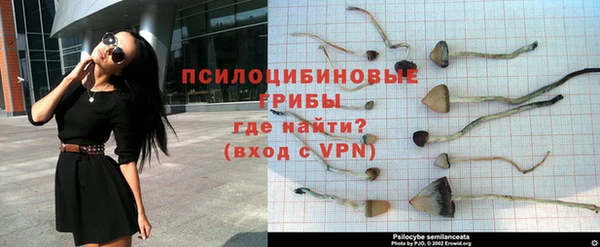 соль курить ск Верея