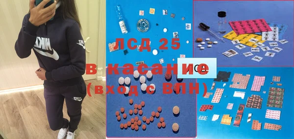2c-b Бородино