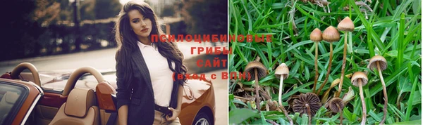 2c-b Бородино