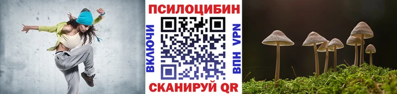 наркошоп  Надым  Псилоцибиновые грибы Psilocybe 