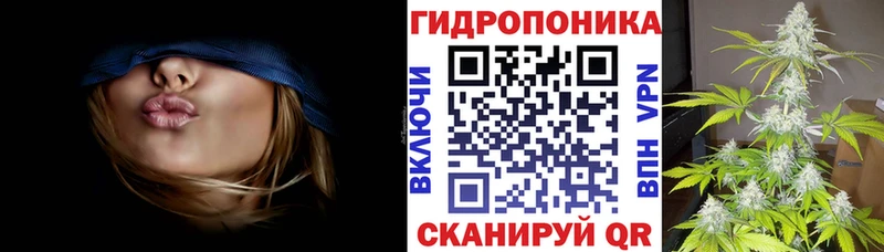 Конопля THC 21%  сколько стоит  блэк спрут зеркало  Надым 